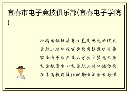 宜春市电子竞技俱乐部(宜春电子学院)